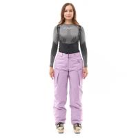 Dragonfly Штаны горнолыжные утепленные Gravity 2025 Woman Purple в Казани